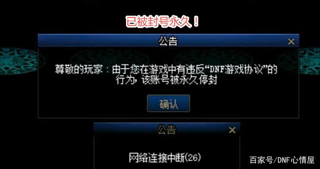dnfsf自走棋稷下流，中期11打8一路碾压，谁能阻挡王者之路781